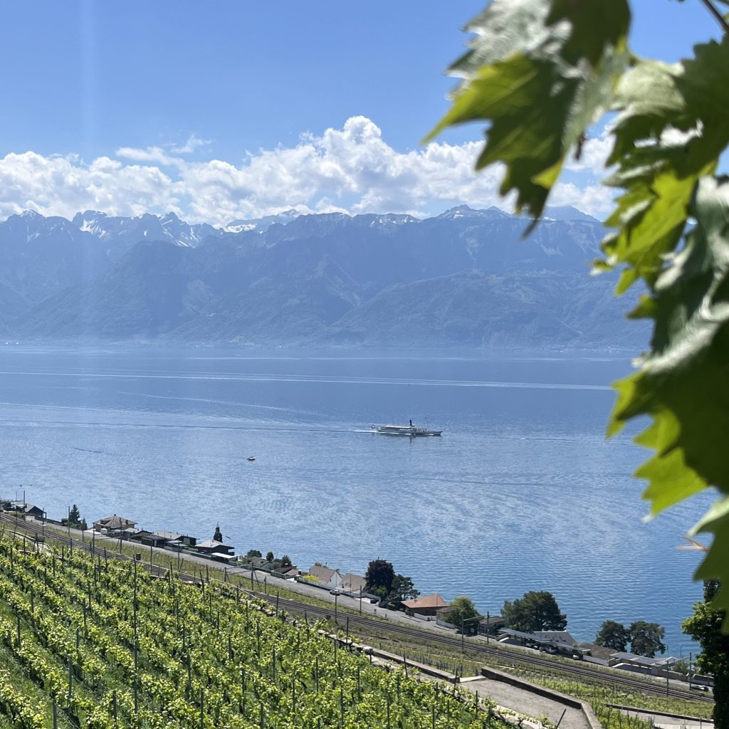 Vignes de raisins, bateau sur le lac et montagnes en arriere plan