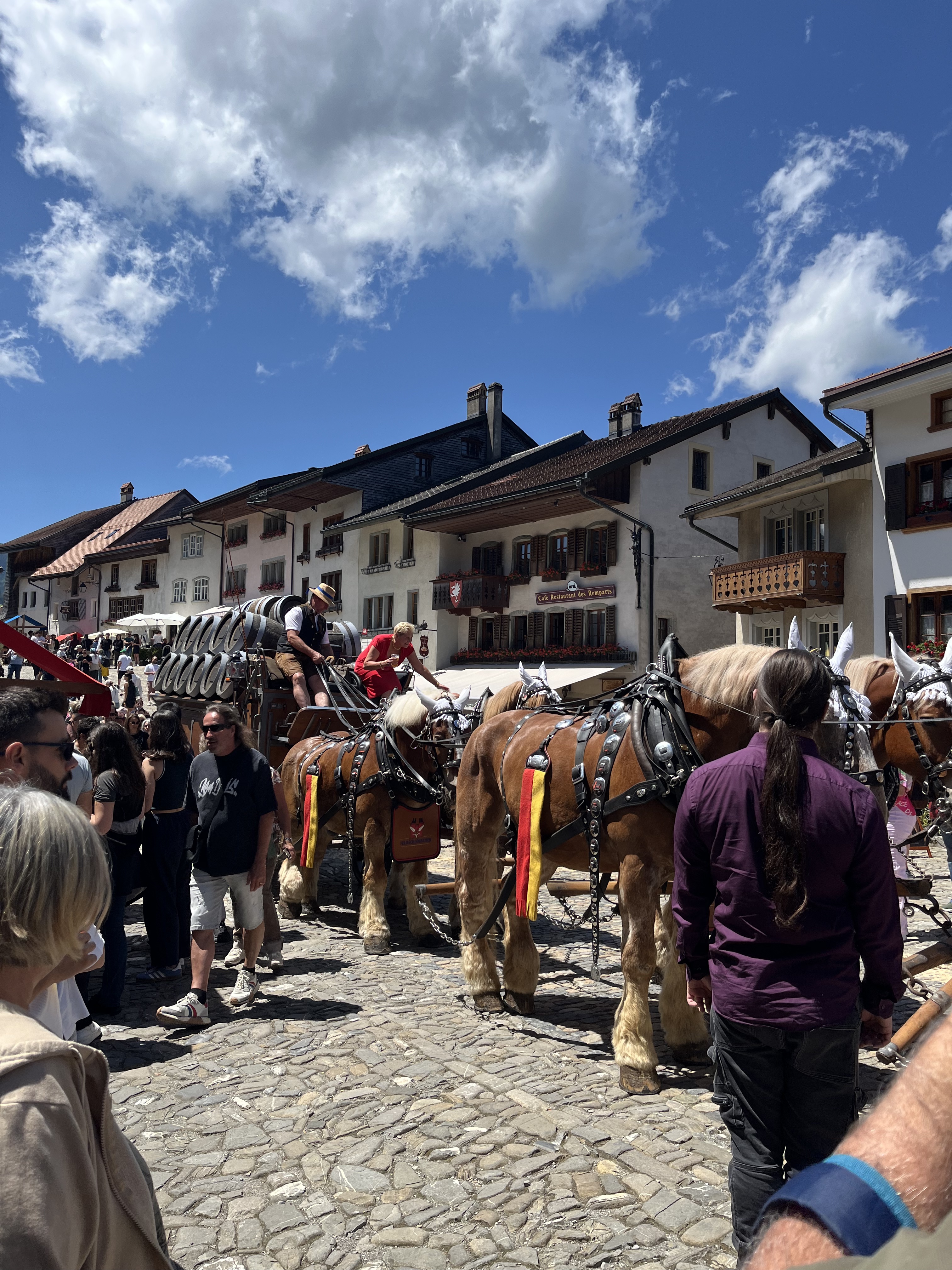 Chevaux tirant une calèche