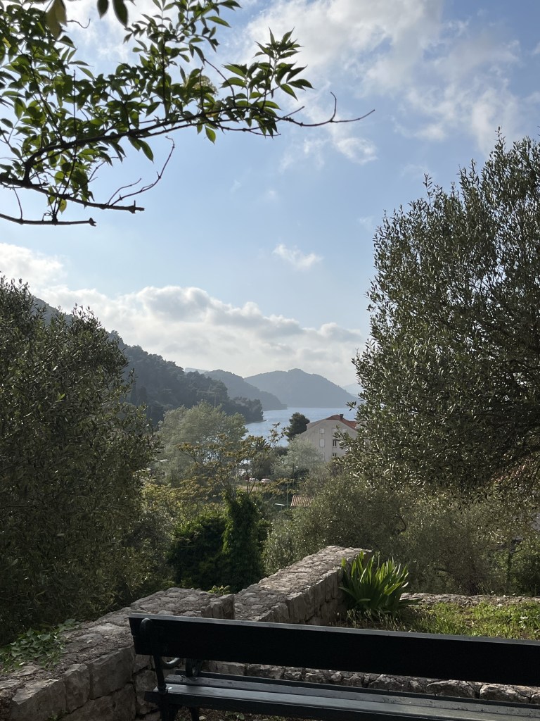 Vue sur un banc face à la mer entouré d'oliviers