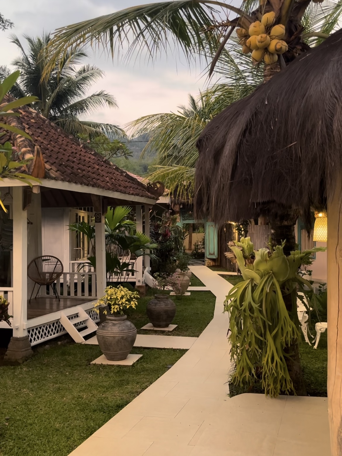 Jardin tropical avec bungalows