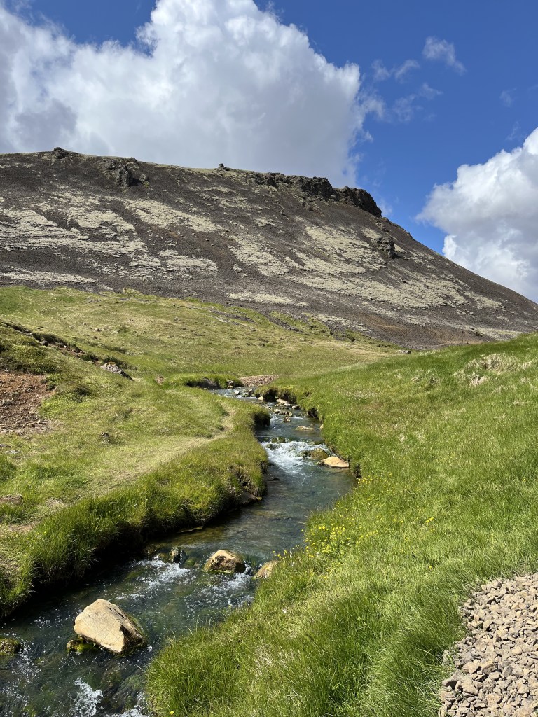 Petit ruisseau dans une plaine verte