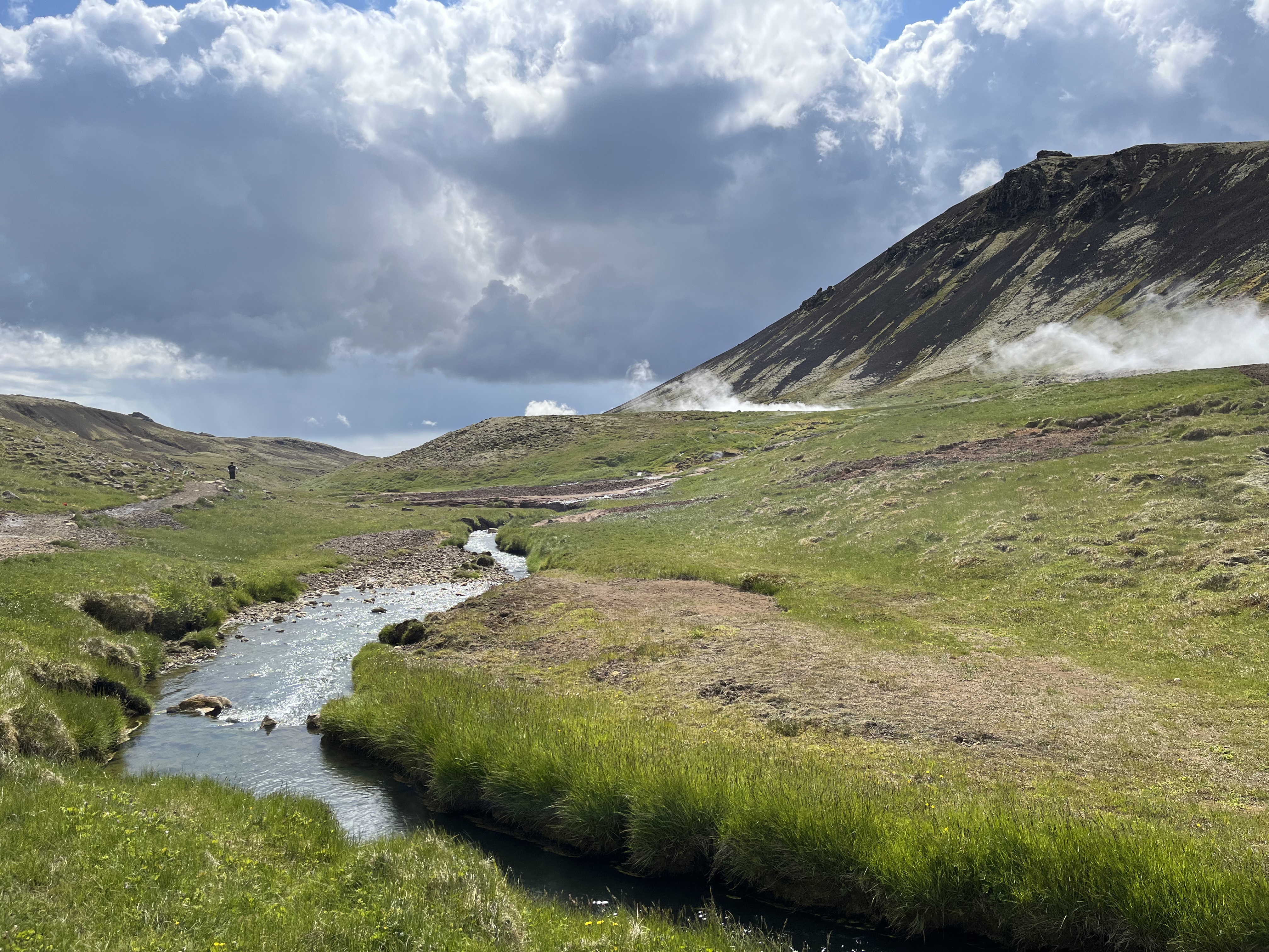 Plaine islandaise avec collines, rivière et fumerolles