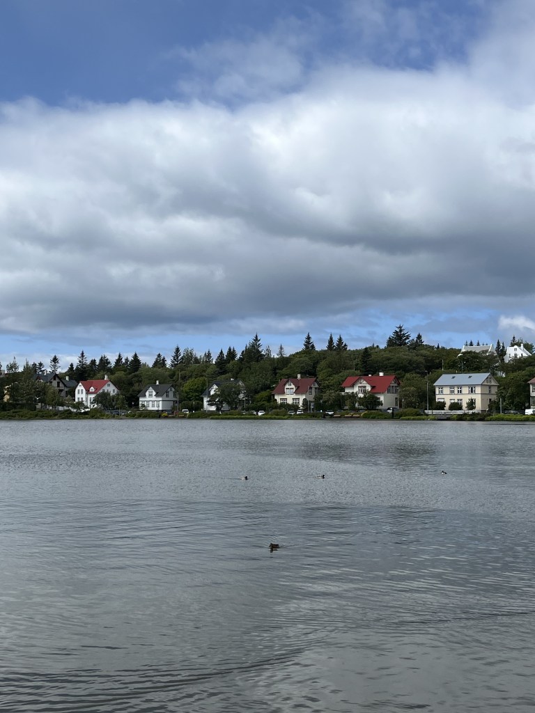 Lac paisible entouré de maisons traditionnelles islandaises