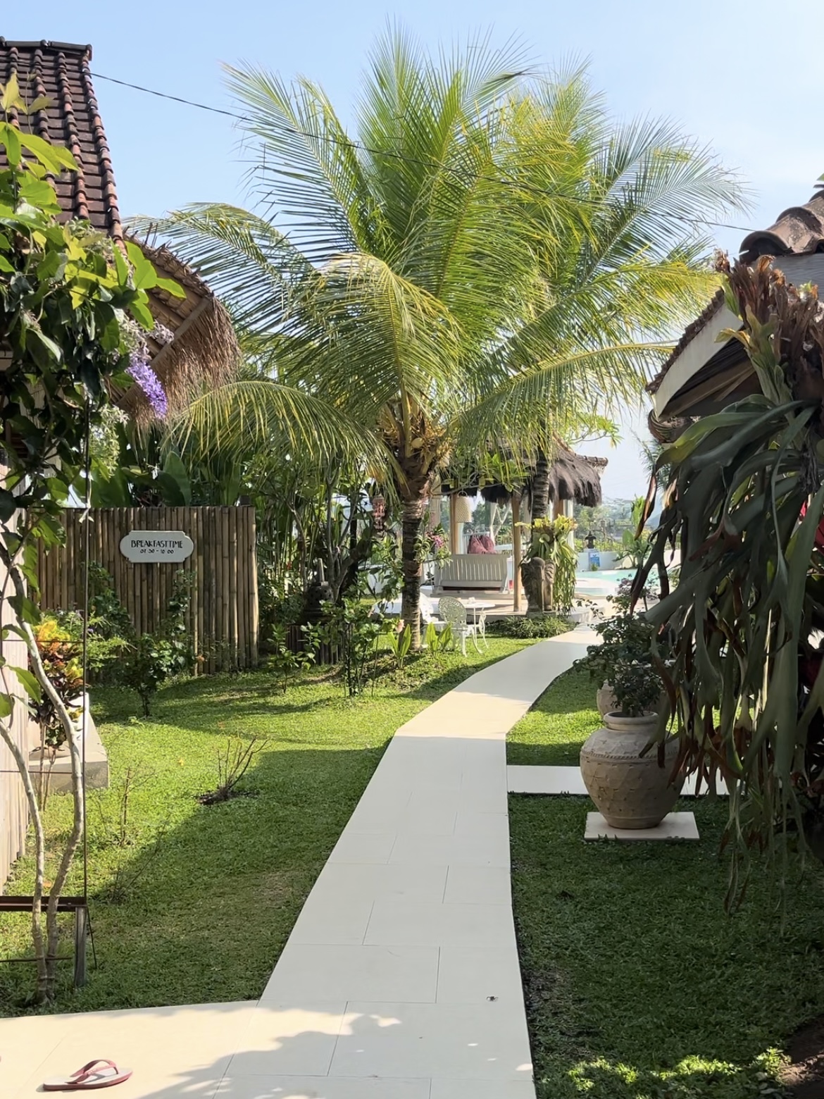chemin dans un jardin avec pelouse verte