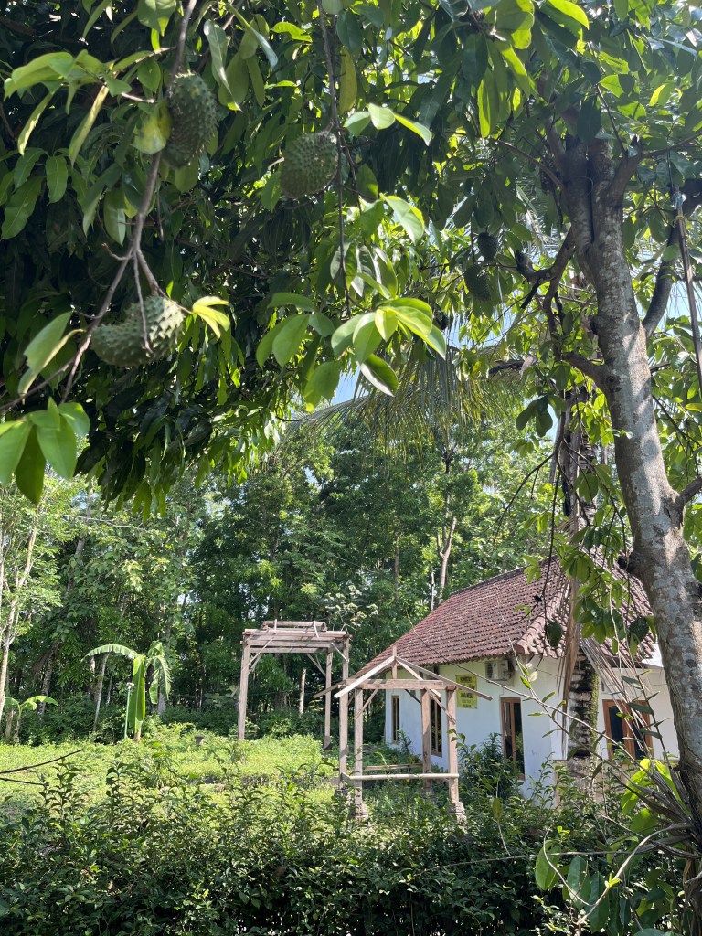 Maison dans la jungle