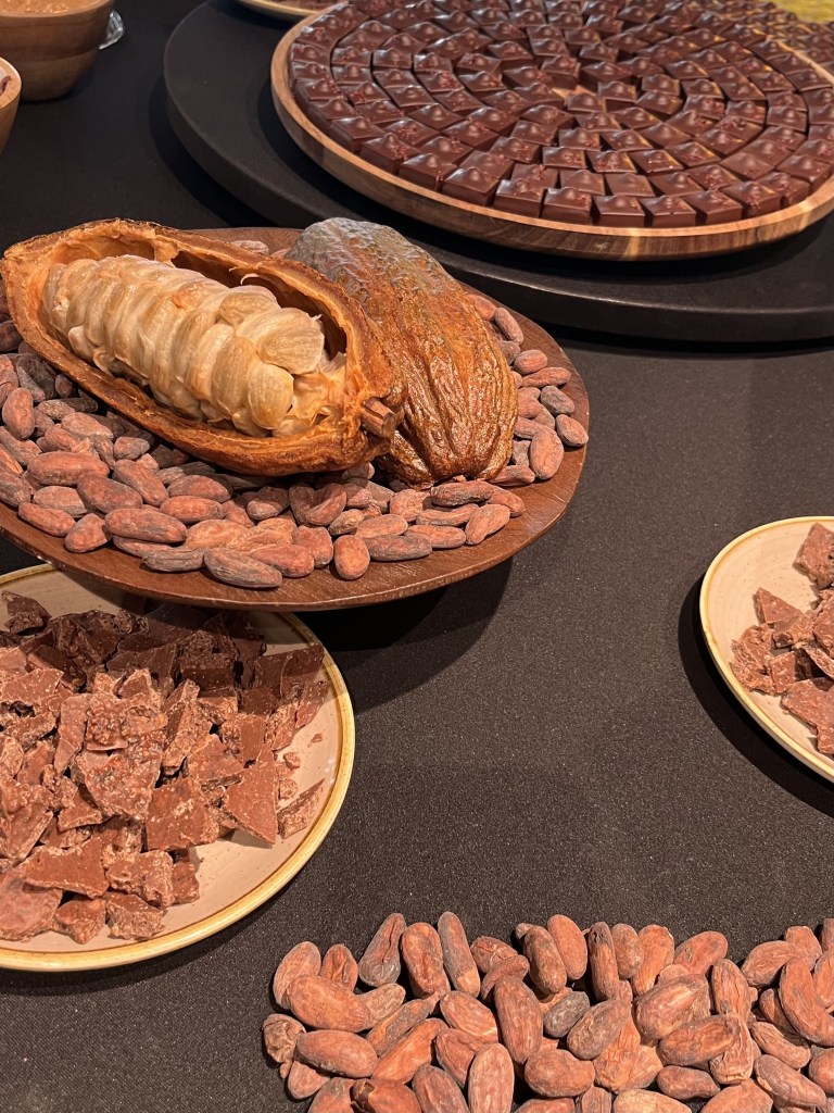 Fèves de cacao et morceaux de chocolat